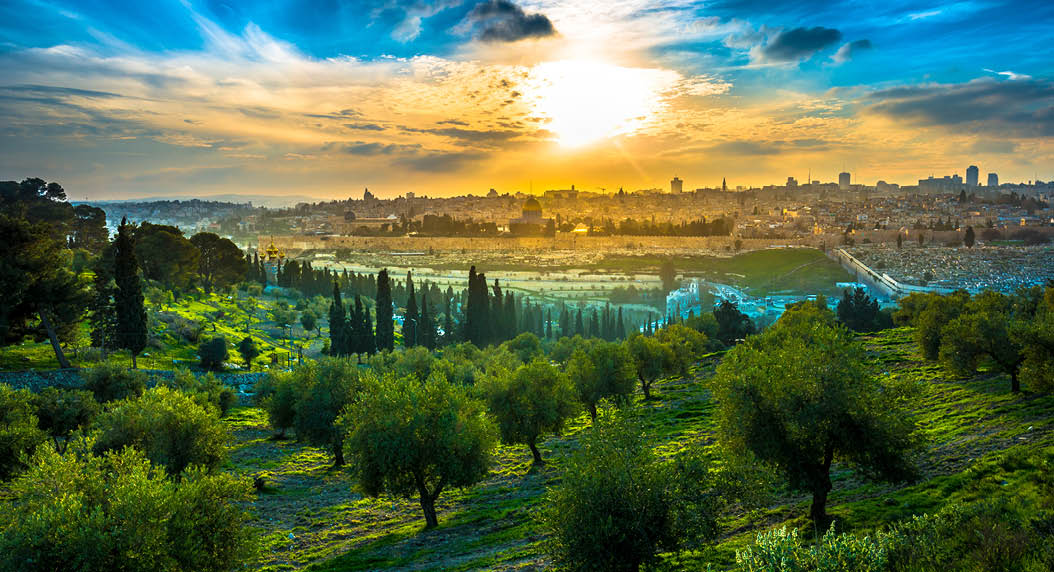 View of the Old City Jerusalem from the Mount of Olives with olive trees in the foreground
