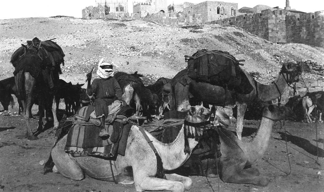 CARAVAN OF CAMELS RESTING BELOW ZION GATE OUTSIDE THE WALLS OF THE OLD CITY OF JERUSALEM DURING THE OTTOMAN   ERA                           ,                                  ,                                                 