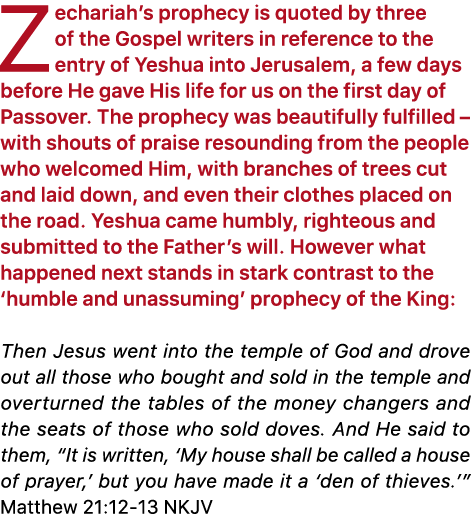 Zechariah’s prophecy is quoted by three of the Gospel writers in reference to the entry of Yeshua into Jerusalem, a f...