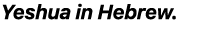 Yeshua in Hebrew.