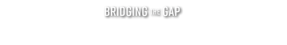 Bridging the Gap 